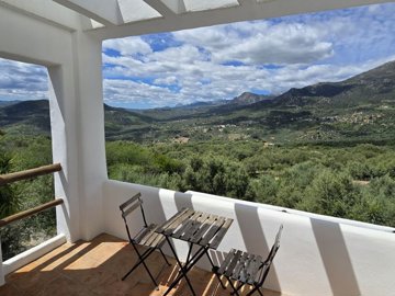 1355-villa-for-sale-in-periana-46928-large