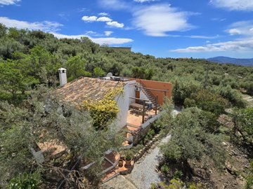 1355-villa-for-sale-in-periana-46931-large