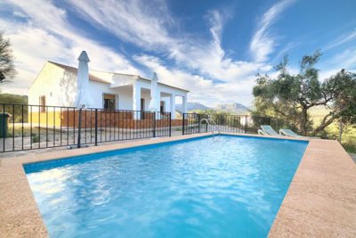 1357-villa-for-sale-in-comares-46996-large