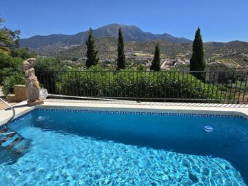 1363-villa-for-sale-in-vinuela-47225-large