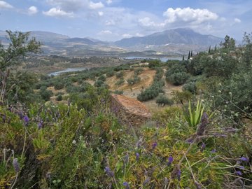 1365-villa-for-sale-in-vinuela-47353-large