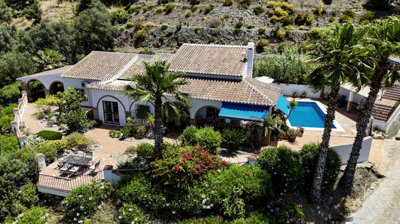 1367-villa-for-sale-in-alcaucin-47806-large