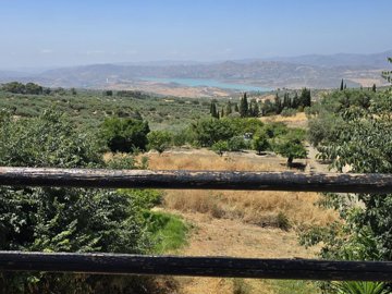 1370-villa-for-sale-in-periana-47951-large
