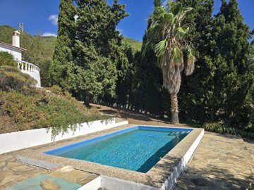 1372-villa-for-sale-in-alcaucin-48115-large