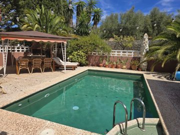 1383-villa-for-sale-in-alcaucin-48710-large