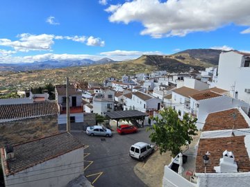 1397-village-house-for-sale-in-alcaucin-49888