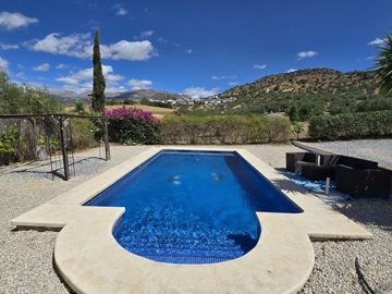1396-villa-for-sale-in-alcaucin-54342-large