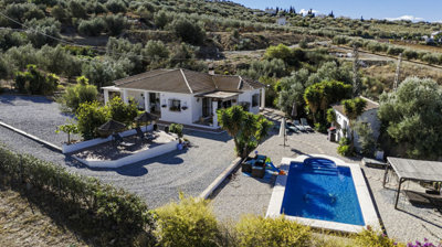1396-villa-for-sale-in-alcaucin-49874-large
