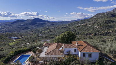 1410-villa-for-sale-in-periana-51052-large