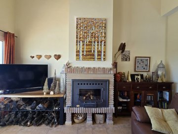 1411-villa-for-sale-in-la-vinuela-50942-large