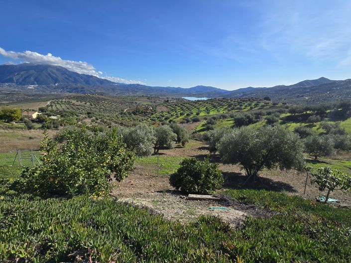 Image No.44-3 Bed Villa for sale