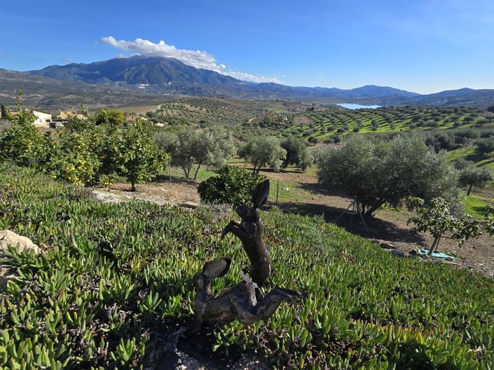 Image No.45-3 Bed Villa for sale