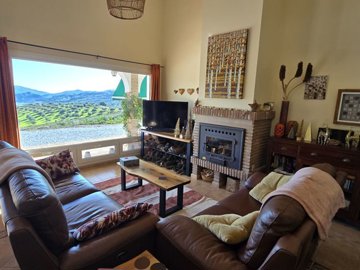 1411-villa-for-sale-in-la-vinuela-50935-large