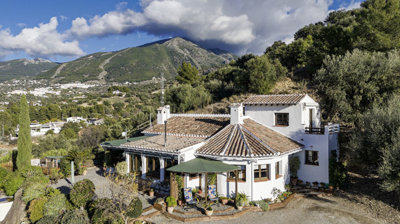 1412-villa-for-sale-in-alcaucin-51080-large