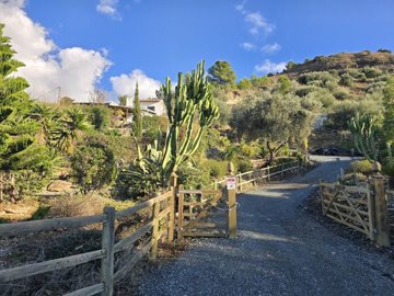 1412-villa-for-sale-in-alcaucin-50997-large