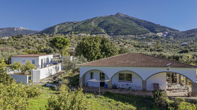 1415-villa-for-sale-in-alcaucin-51276-large