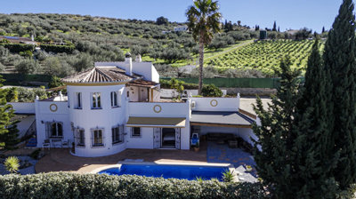 859-villa-for-sale-in-alcaucin-52060-large