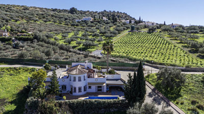 859-villa-for-sale-in-alcaucin-52056-large