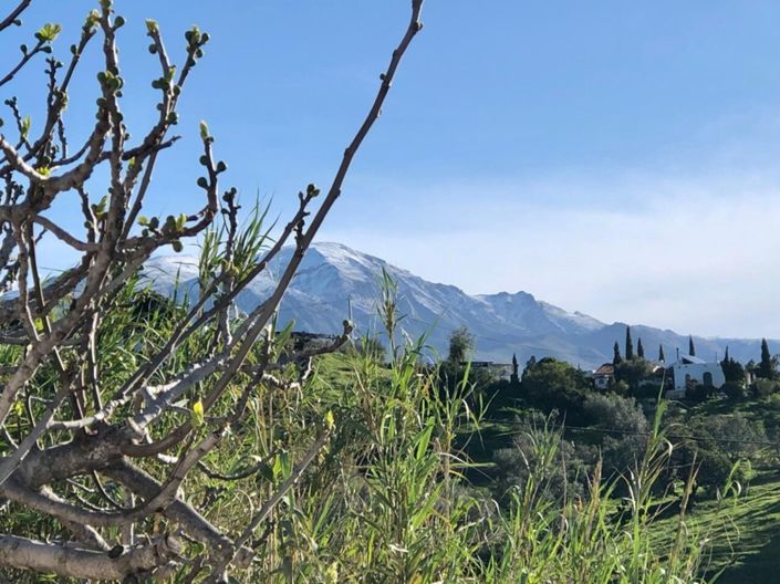 Image No.21-4 Bed Villa for sale