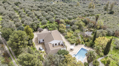 1428-villa-for-sale-in-periana-52228-large