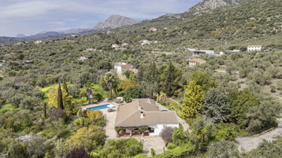 1428-villa-for-sale-in-periana-52221-large