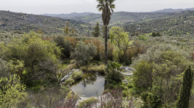 1428-villa-for-sale-in-periana-52225-large