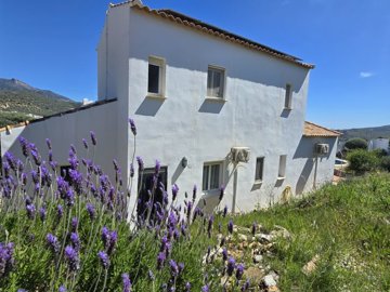 1072-villa-for-sale-in-vinuela-52522-large