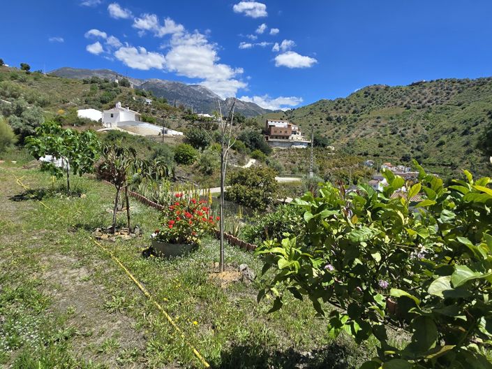 Image No.4-4 Bed Villa for sale