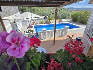 1141-villa-for-sale-in-puente-don-manuel-5314
