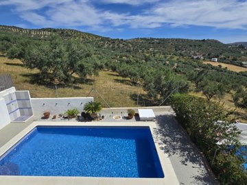 1141-villa-for-sale-in-puente-don-manuel-5313