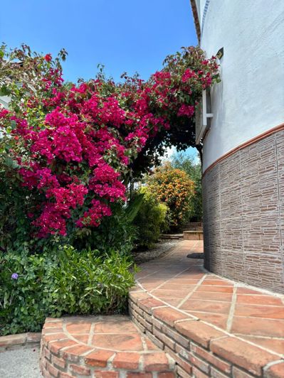 Image No.30-4 Bed Villa for sale