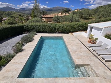 1436-villa-for-sale-in-puente-don-manuel-5309