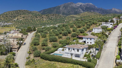 1436-villa-for-sale-in-puente-don-manuel-5323