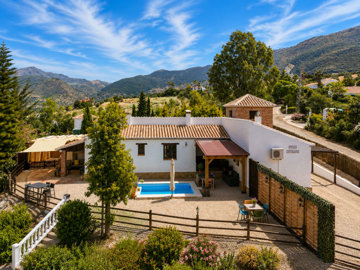 1440-villa-for-sale-in-alcaucin-53513-large