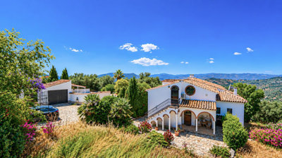 1441-villa-for-sale-in-periana-53624-large