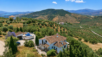 1441-villa-for-sale-in-periana-53629-large