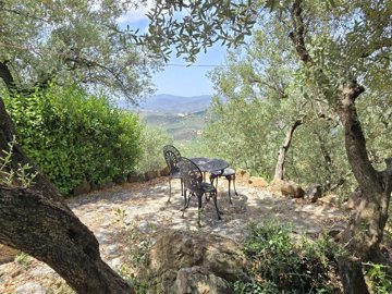 1441-villa-for-sale-in-periana-53537-large