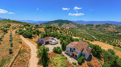 1441-villa-for-sale-in-periana-53626-large
