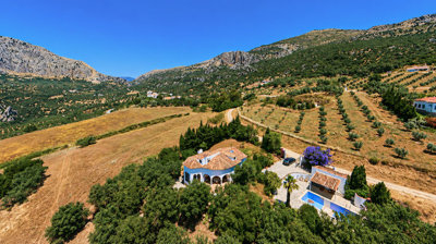 1441-villa-for-sale-in-periana-53632-large