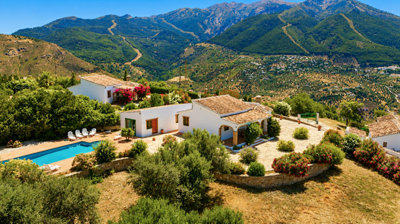 1442-villa-for-sale-in-alcaucin-53633-large
