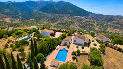 1442-villa-for-sale-in-alcaucin-53636-large