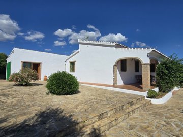 1442-villa-for-sale-in-alcaucin-53574-large