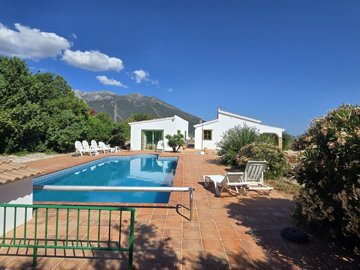 1442-villa-for-sale-in-alcaucin-53582-large