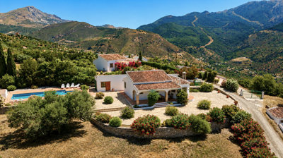 1442-villa-for-sale-in-alcaucin-53634-large
