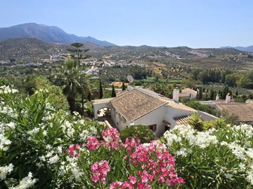 1444-villa-for-sale-in-vinuela-53695-large