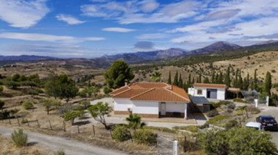 1453-villa-for-sale-in-alcaucin-54236-large