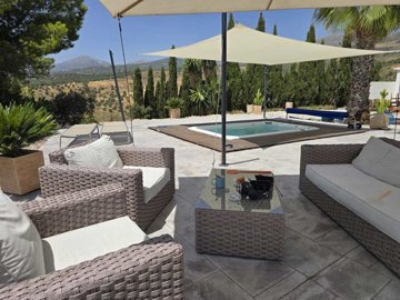 1453-villa-for-sale-in-alcaucin-54245-large