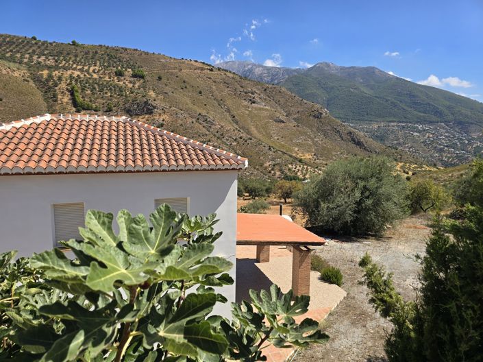Image No.43-3 Bed Villa for sale