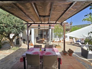 1454-villa-for-sale-in-alcaucin-54635-large