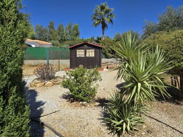 1464-villa-for-sale-in-venta-baja-54944-large